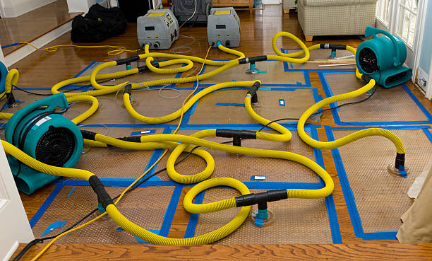 Professional Sewage Cleanup technician working in Pigeon, MI